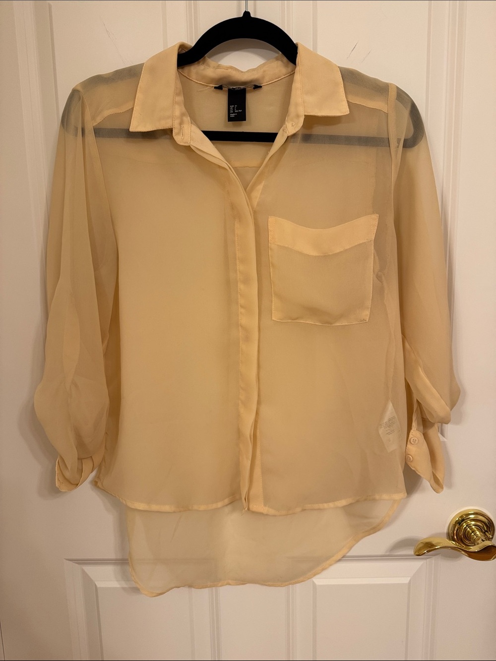 Light Yellow Sheer Button-Front Women's Blouse